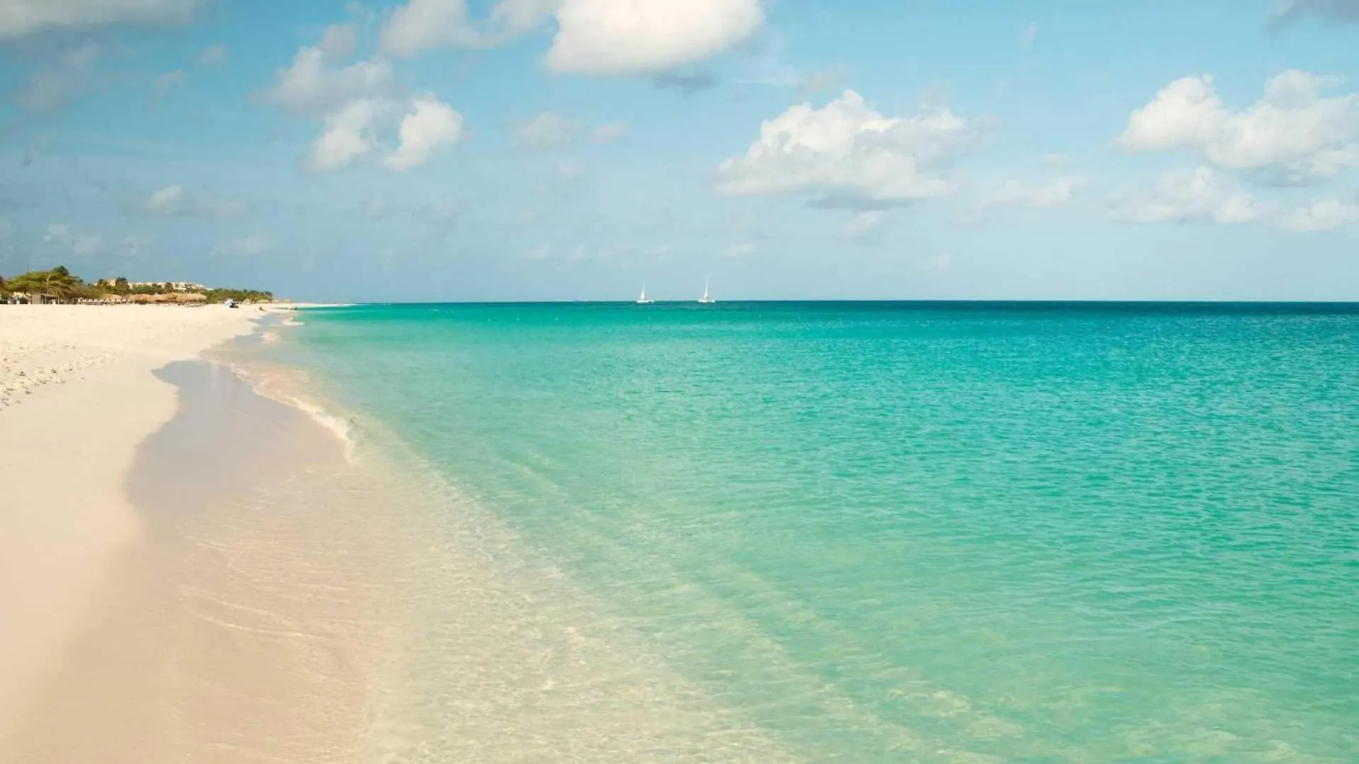 Beachfront パームビーチ 0*,  アルバ